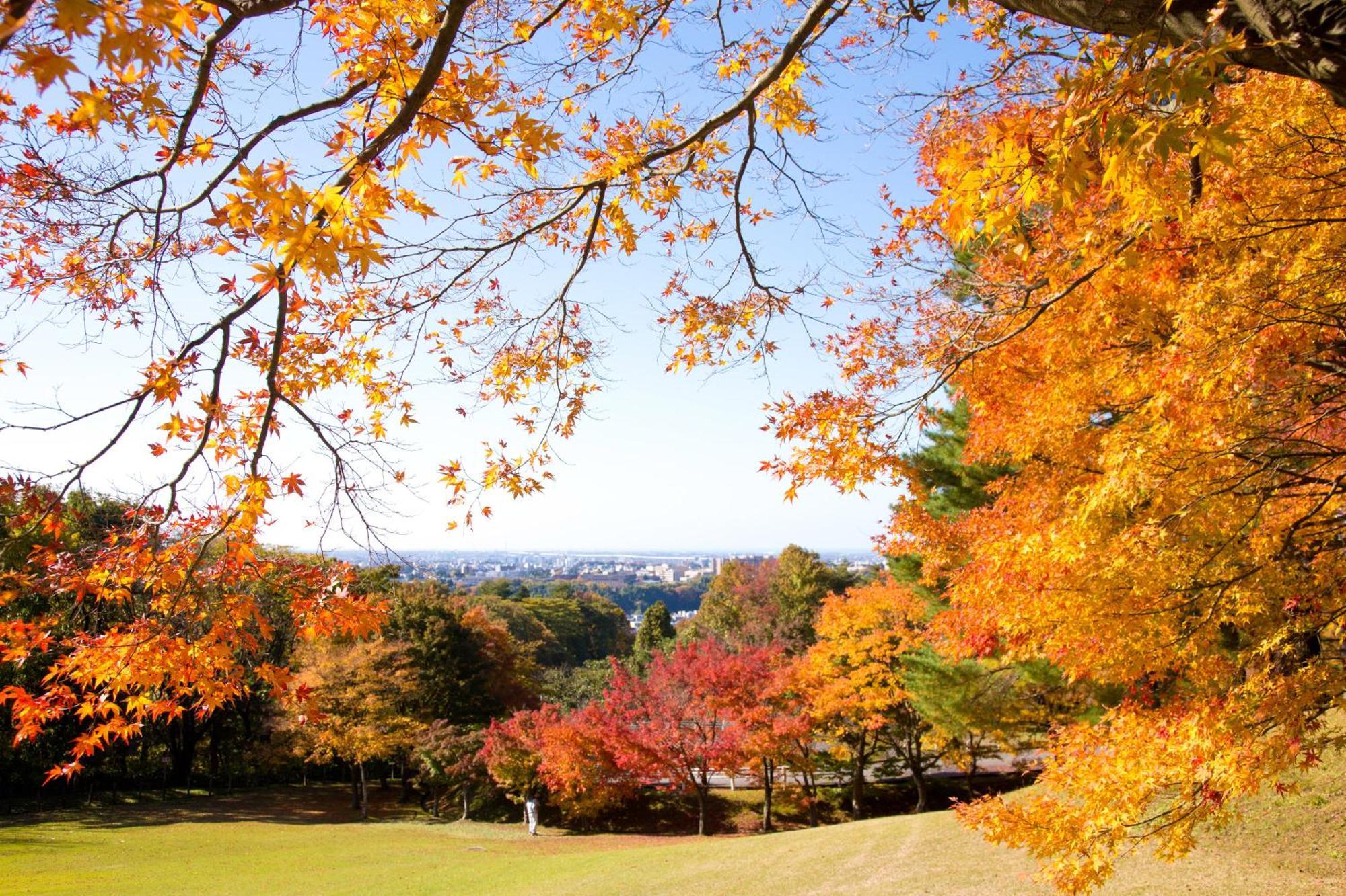 Tokyu Stay Kanazawa Ngoại thất bức ảnh